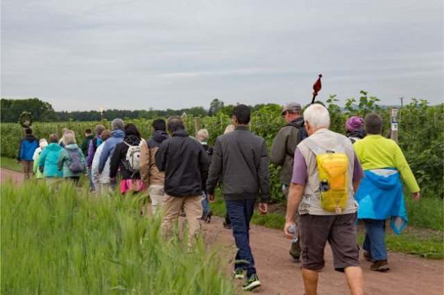 fusswallfahrt_2019_20190901_1501183475