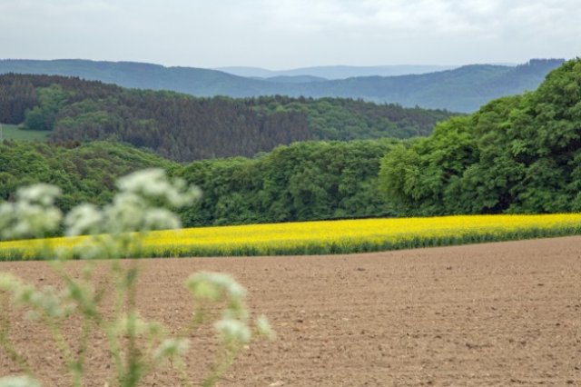 wallfahrt_2018_20180624_1737728806