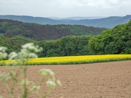 wallfahrt_2018_20180624_1737728806